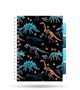 Opakowanie Kołozeszyt A5 100k kratka PP Coolpack fossil