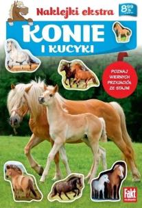 Konie i kucyki. Autor:   Praca zbiorowa. Multiszop.pl Okładka książki Konie i kucyki