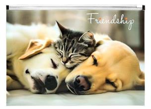 Opakowanie Koperta A4 PP z nadrukiem zip Friendship