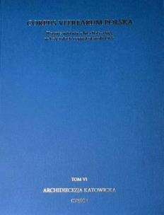 Korpus witraży T.6 Archidiecezja Katowicka cz.1. Autor: Szybisty Tomasz, Utzig Joanna. Multiszop.pl Okładka książki Korpus witraży T.6 Archidiecezja Katowicka cz.1