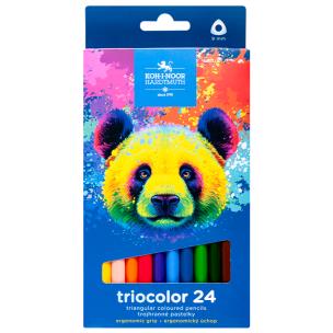Kredki Triocolor Niedźwiedź 24 kolory. Wydawca: Koh-I-Noor. Multiszop.pl Opakowanie Kredki Triocolor Niedźwiedź 24 kolory