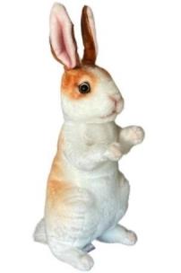 Opakowanie Królik 30cm