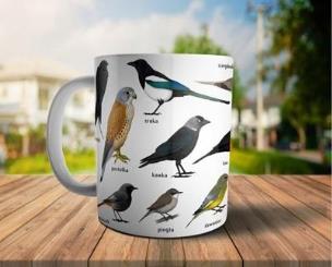 Opakowanie Kubek - Ptaki w mieście (miejskie) SOLITON