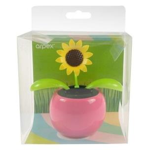 Kwiatek solarny - kiwaczek MIX. Wydawca: ARPEX. Multiszop.pl Opakowanie Kwiatek solarny - kiwaczek MIX