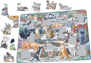 Opakowanie Larsen Koty różnych ras Maxi