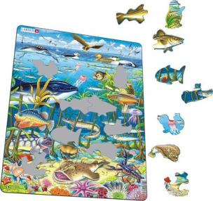 Opakowanie Larsen Marine life in the north Atlantic (Maxi)