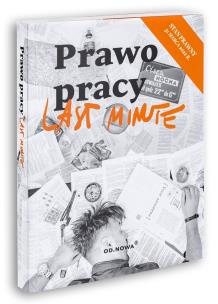 Last Minute prawo pracy 2022. Autor: Leon Chwistek. Multiszop.pl Okładka książki Last Minute prawo pracy 2022