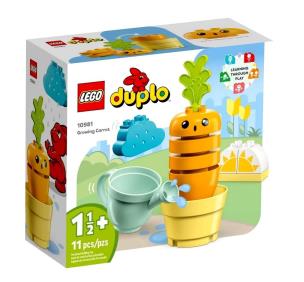 Opakowanie Lego DUPLO 10981 Rosnąca marchewka