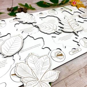 Opakowanie Liście i owoce drzew