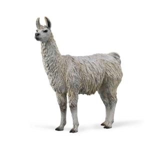 Llama. Wydawca: Collecta. Multiszop.pl Opakowanie Llama