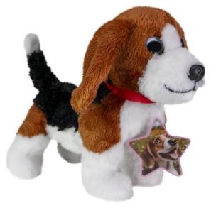 Opakowanie Lumo Beagle Cooper classic