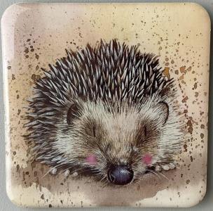 Opakowanie Magnes FM188 Jeż Harriet