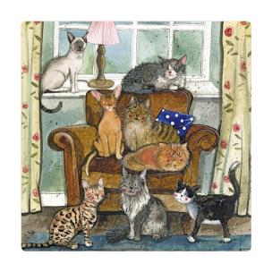 Opakowanie Magnes FM213 Dom pełen kotów