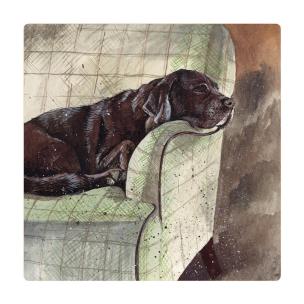 Opakowanie Magnes FM228 Pies Buddy