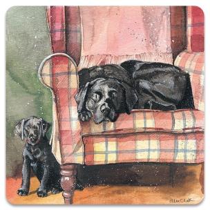 Opakowanie Magnes FM247 Psy Sophie&Scarlett