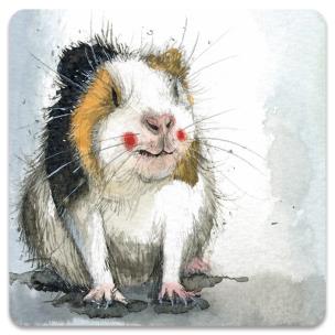 Opakowanie Magnes FM248 Świnka morska