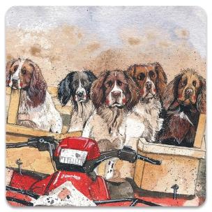 Opakowanie Magnes FM250 Psy Spaniele