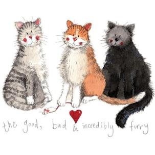 Opakowanie Magnes FM30 3 koty