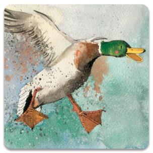 Opakowanie Magnes FM86 Lądująca kaczka