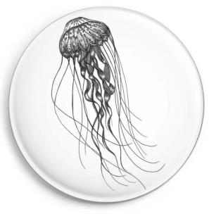 Opakowanie Magnes Meduza