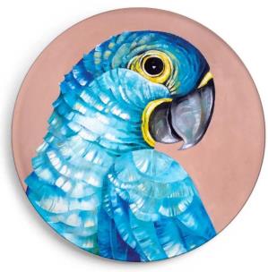 Opakowanie Magnes Modroara hiacyntowa