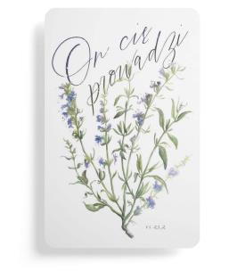 Opakowanie Magnes na lodówkę - On cię prowadzi