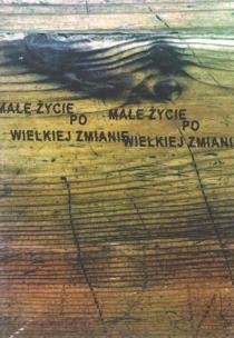 Okładka książki Małe życie po wielkiej zmianie