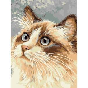 Opakowanie Malowanie po numerach - 30x40cm Kot