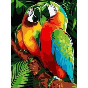 Opakowanie Malowanie po numerach - 30x40cm Papugi
