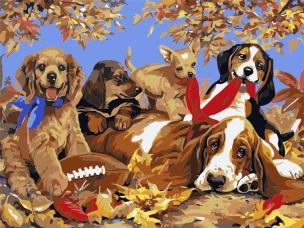 Opakowanie Malowanie po numerach - 30x40cm Psy