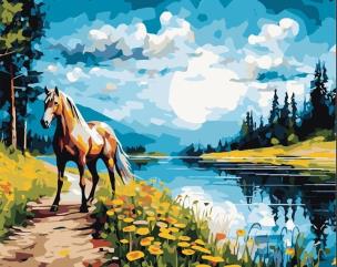 Malowanie po numerach 40x50 Koń. Wydawca: Koh-I-Noor. Multiszop.pl Opakowanie Malowanie po numerach 40x50 Koń