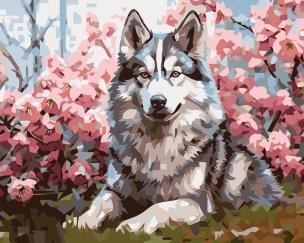 Malowanie po numerach 40x50 Pies. Wydawca: Koh-I-Noor. Multiszop.pl Opakowanie Malowanie po numerach 40x50 Pies