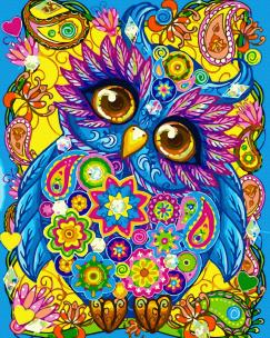 Opakowanie Malowanie po numerach  Bajkowa Sowa