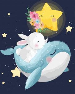 Opakowanie Malowanie po numerach  Bajkowy sen