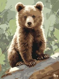 Malowanie po numerach - Ciekawy Miś 30x40cm. Wydawca: Qbee. Multiszop.pl Opakowanie Malowanie po numerach - Ciekawy Miś 30x40cm