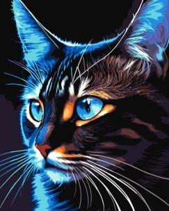 Opakowanie Malowanie po numerach - Cosmo-cat 40x50cm