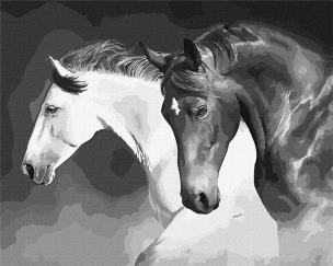 Opakowanie Malowanie po numerach - Czarno-biała moc 40x50cm