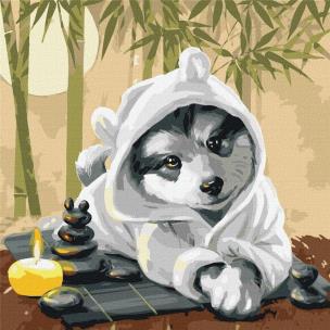 Opakowanie Malowanie po numerach - Czas na relaks 40x40cm