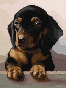 Opakowanie Malowanie po numerach - Dedykowany wygląd 30x40cm