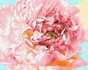 Opakowanie Malowanie po numerach - Delikatna piwonia 40x50cm
