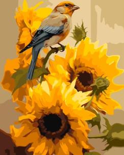 Opakowanie Malowanie po numerach - Droga Mleczna 40x50cm