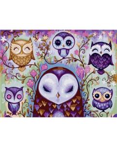 Opakowanie Malowanie po numerach - Fantastyczne sowy 40x50