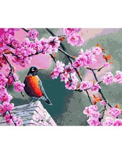 Opakowanie Malowanie po numerach - Gil 40x50