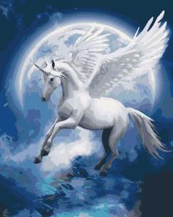 Opakowanie Malowanie po numerach - Gwiazdozbiór 40x50cm