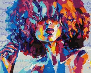 Opakowanie Malowanie po numerach - Jasny obraz 40x50cm