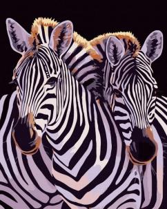 Opakowanie Malowanie po numerach - Jedność zebr 40x50cm