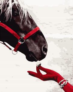 Opakowanie Malowanie po numerach - Koń i biżuteria 40x50cm