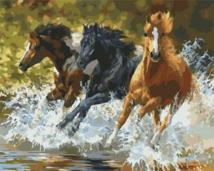 Opakowanie Malowanie po numerach - Konie polskie 30x40cm