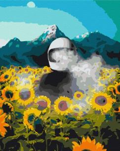 Opakowanie Malowanie po numerach Kosmiczna Ziemia