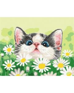 Opakowanie Malowanie po numerach - Kot w stokrotkach 40x50cm